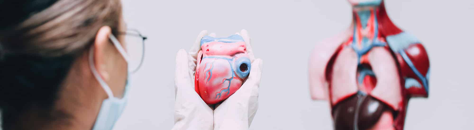 Oft gestellte Fragen in der Kardiologie